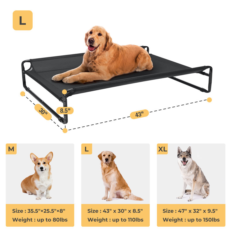 Dog bed cots best sale